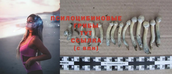ПСИЛОЦИБИНОВЫЕ ГРИБЫ Краснотурьинск