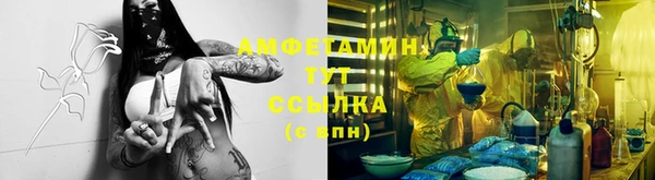 ECSTASY Кукмор