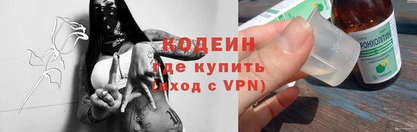 соль ск Козельск