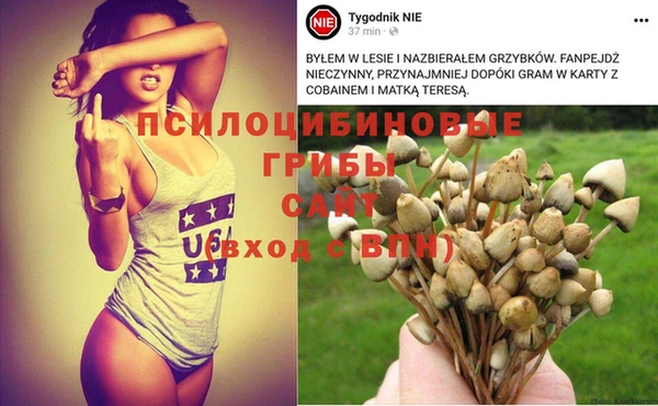 ECSTASY Кукмор