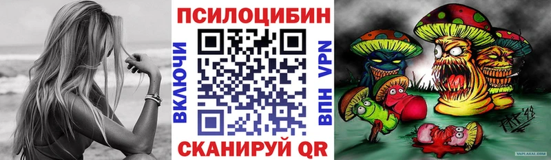 где купить наркотик  блэк спрут ссылка  Псилоцибиновые грибы Psilocybine cubensis  Котово 